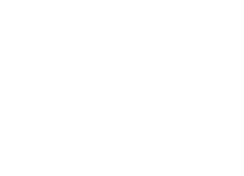 Mastery Mark